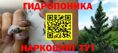 МДПВ Лесосибирск