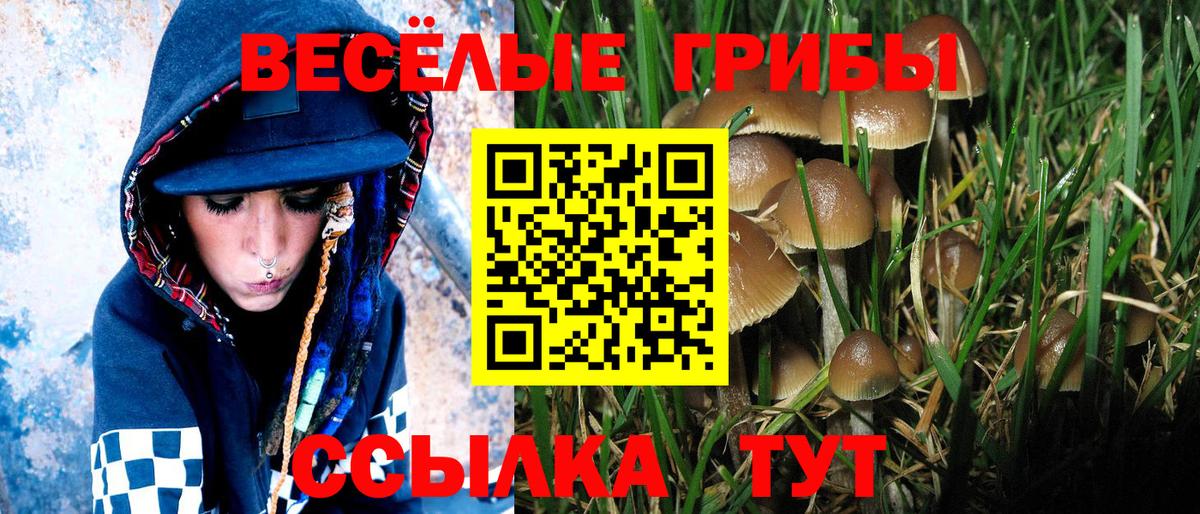 Псилоцибиновые грибы Psilocybe  Псилоцибиновые грибы MAGIC MUSHROOMS  Вход с VPN  Зеленокумск 