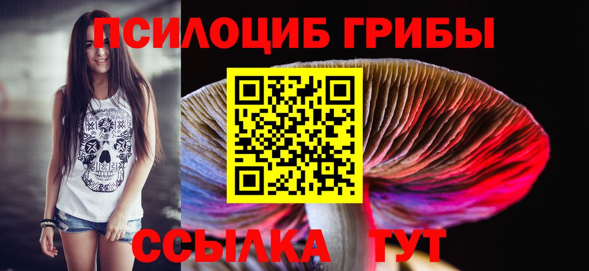 Псилоцибиновые грибы Psilocybe Зеленокумск